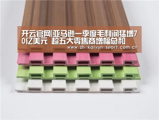 开云官网|亚马逊一季度毛利润猛增70亿美元 超五大零售商增幅总和(图2) 开云