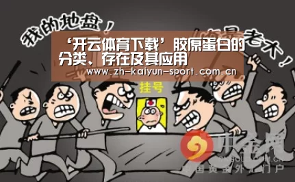 ‘开云体育下载’胶原蛋白的分类、存在及其应用(图2) 开云体育下载